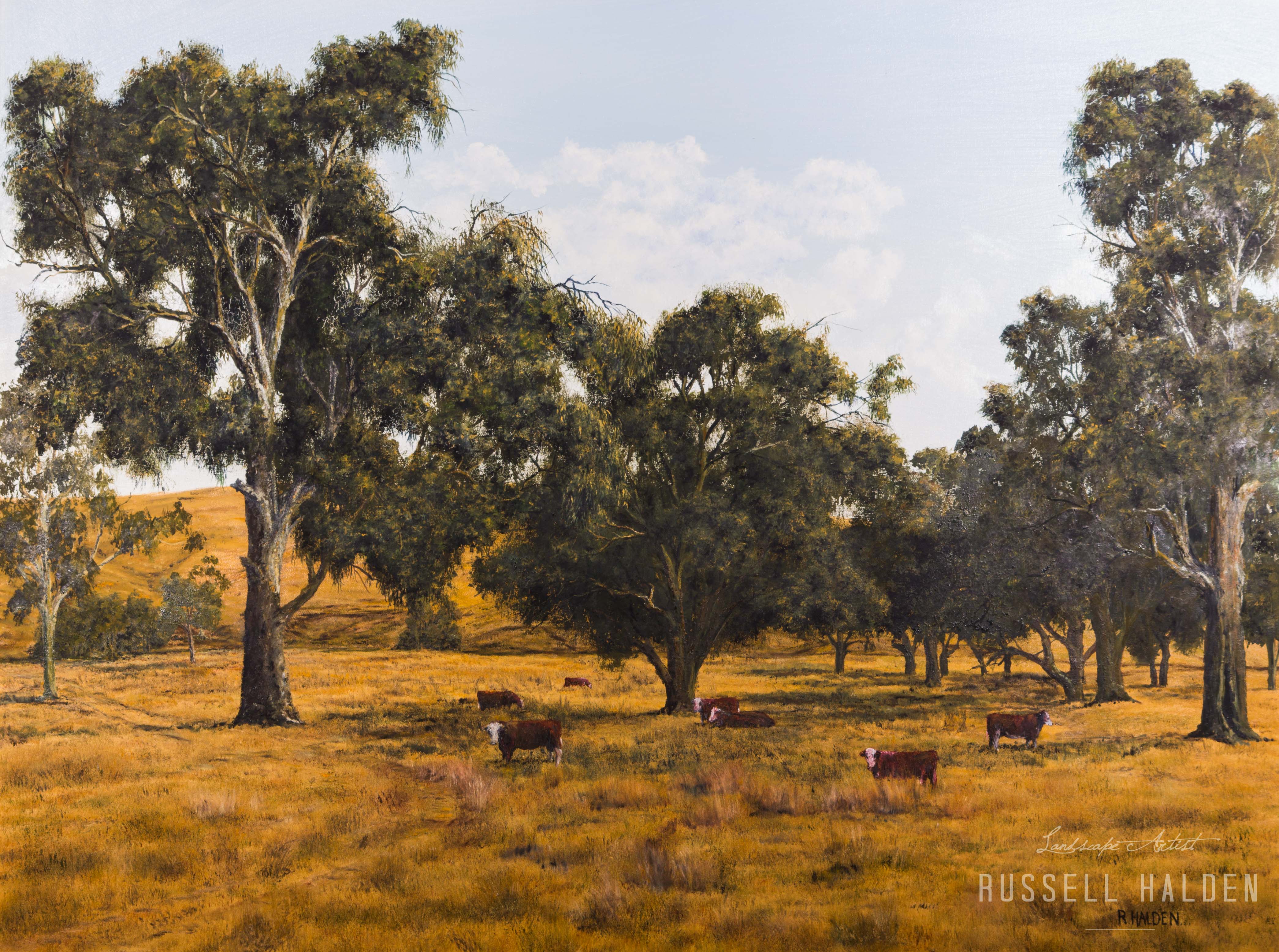 Cattle Paddock - Yea, Victoria
